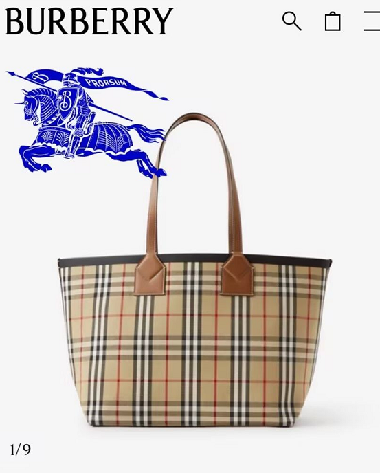 B**rry handbags aaaa(women)-001