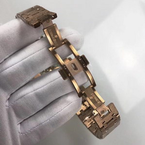 AP Mechanical Watch-029