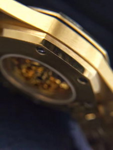 AP Mechanical Watch-020