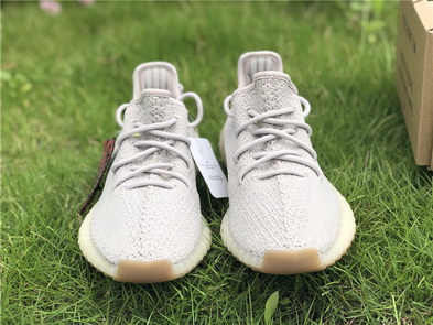 authentic ad*s Y**zy 350 boost v2-029