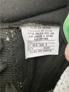 Air Jordan 3s PE Oregon Ducks