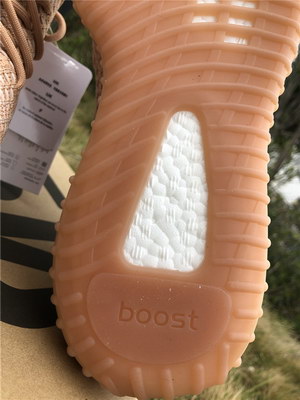 ad*s Y**zy boost 350 v2 clay