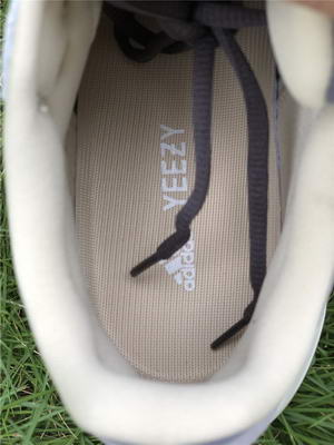 authentic ad*s Y**zy 700 magnet