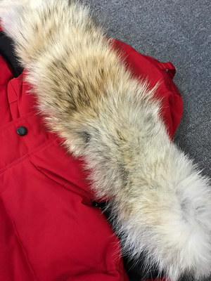 Canada Goose Coat-151