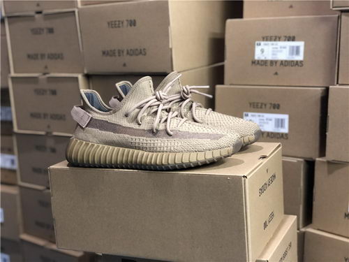 Authentic Adidas Yeezy 350 V2-016