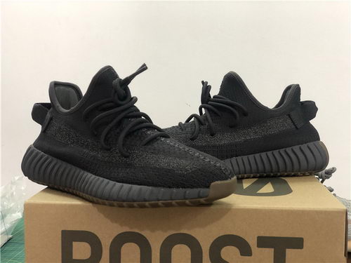 authentic ad*s Y**zy 350 v2-015