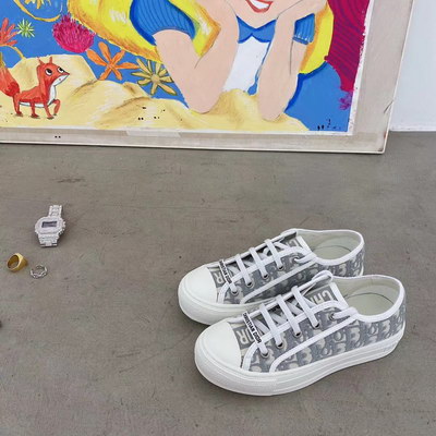 Dior Shoes AAA(Women)-071