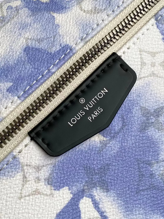 LV Backpack(AAAA)-085