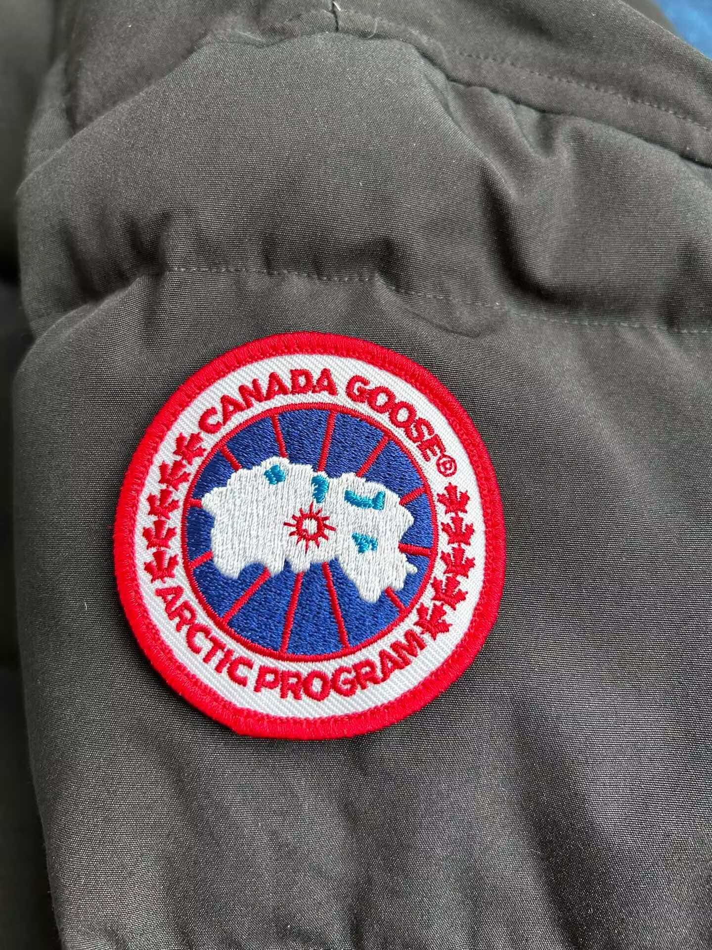 Canada Goose Coat-252