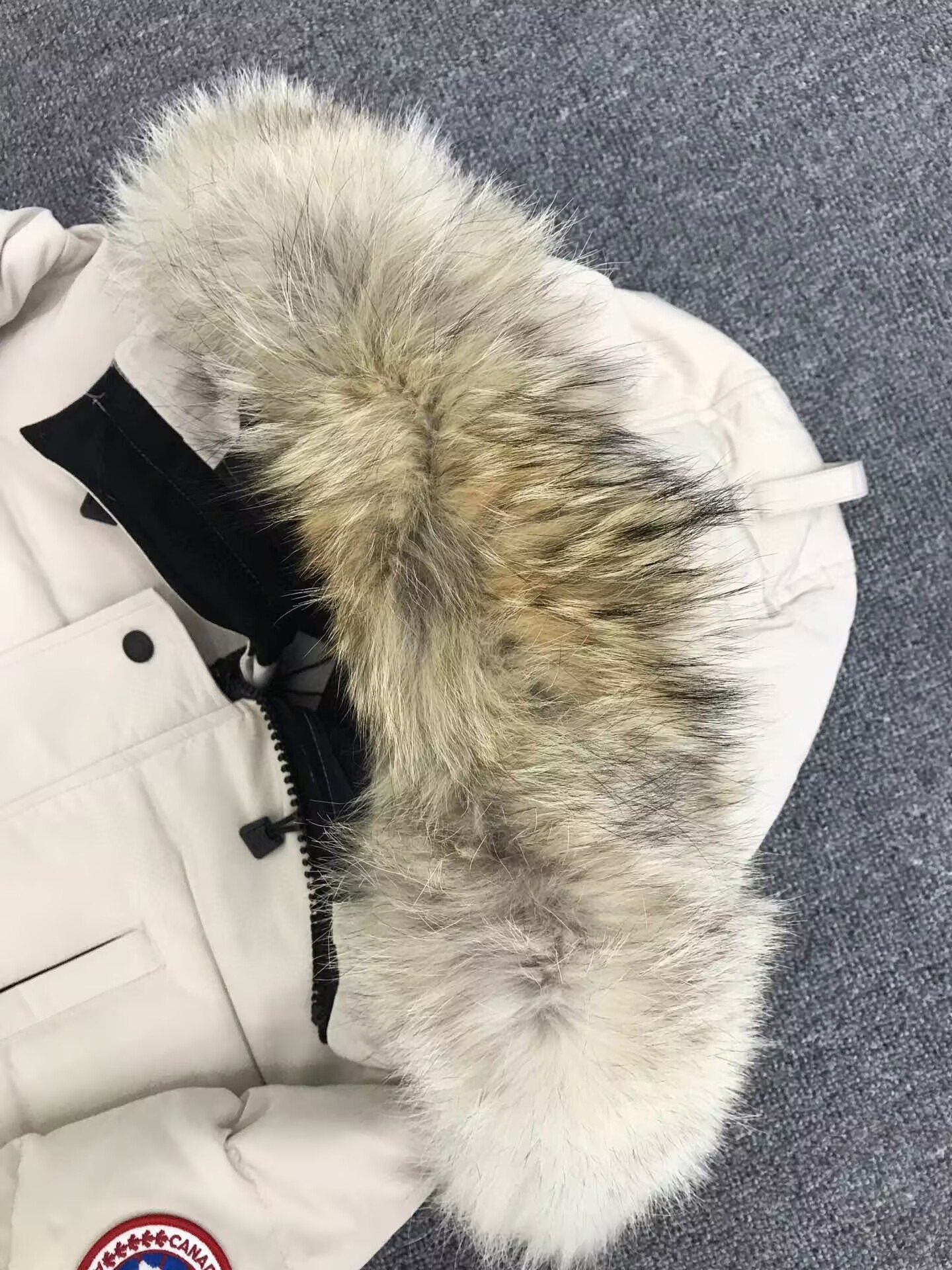 Canada Goose Coat-379