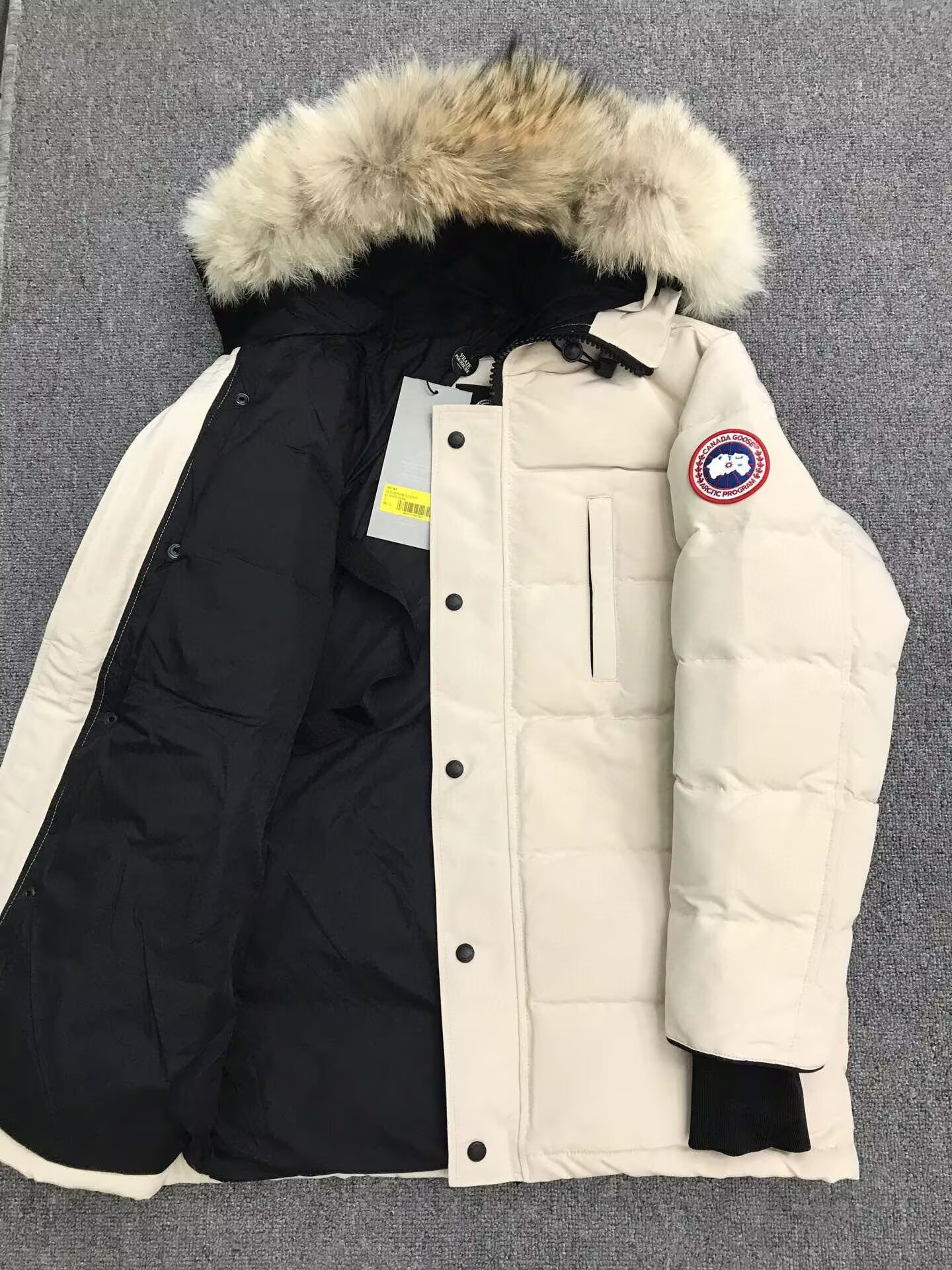 Canada Goose Coat-379