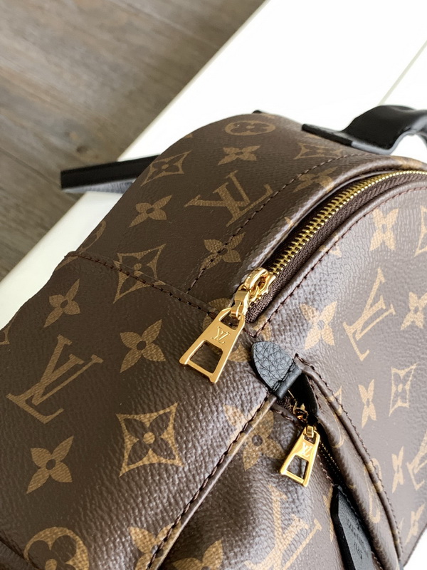 LV Backpack(AAA)-041