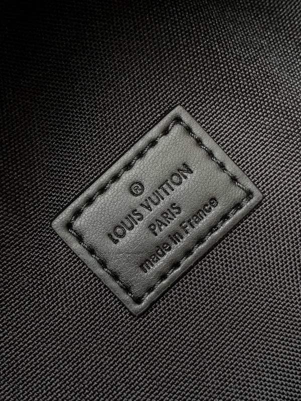 LV Backpack(AAA)-095