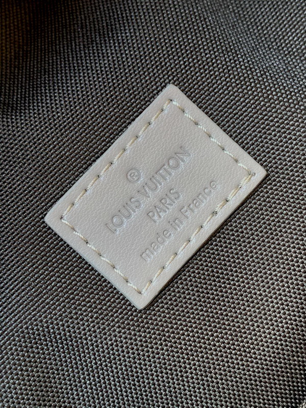 LV Backpack(AAA)-099