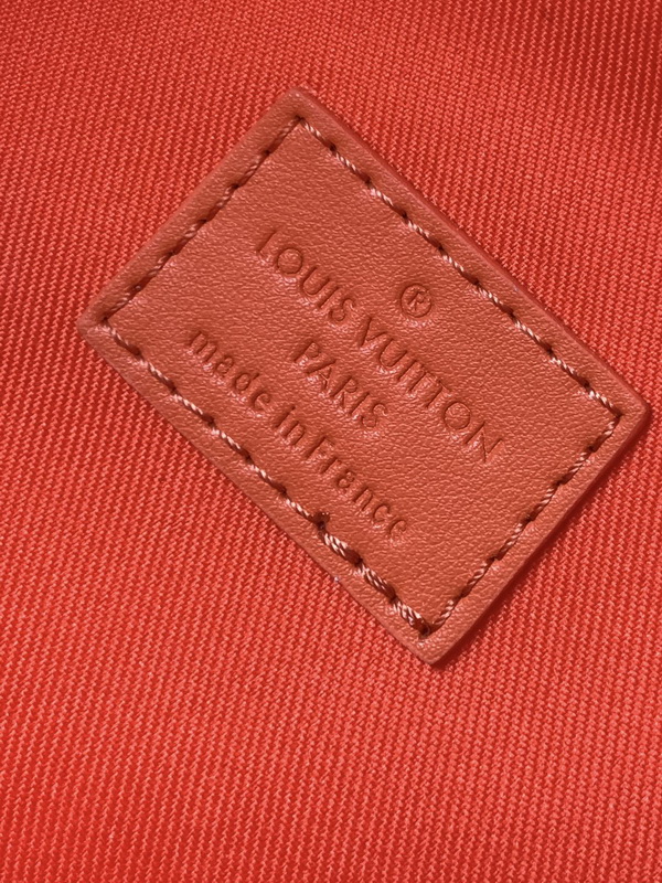 LV Backpack(AAA)-100