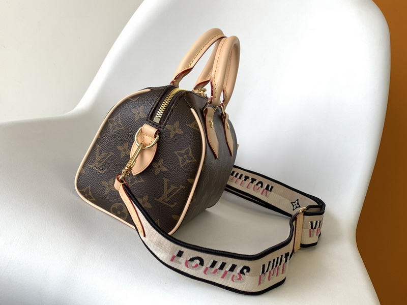 LV Handbags AAA(Women)-439