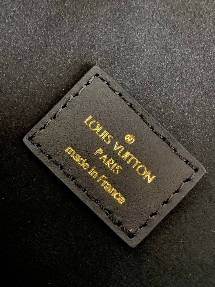 LV Backpack(AAA)-166