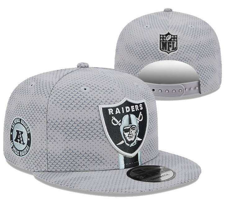 NFL Snapback-083