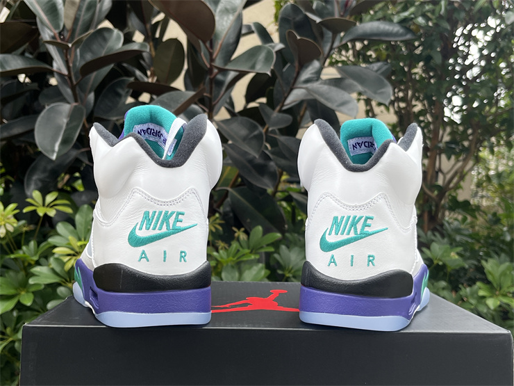 Air Jordan 5 Retro Grape