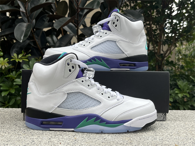 Air Jordan 5 Retro Grape