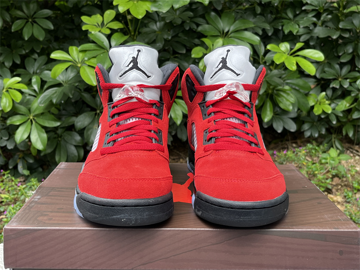 Air Jordan 5 Raging Bull