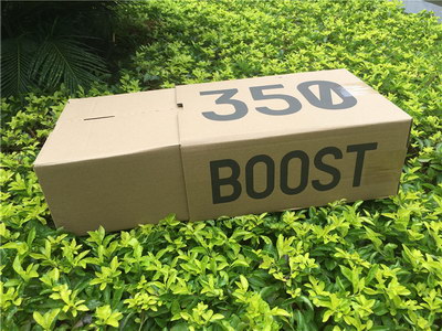 authentic ad*s Y**zy 350 boost v2 beluga