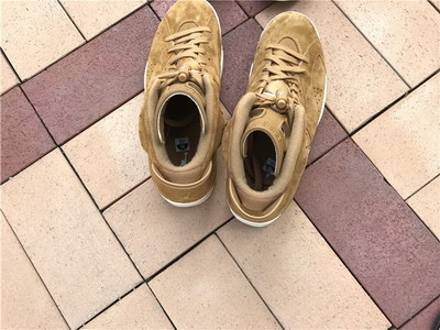 Air Jordan 6 “Golden Harvest”