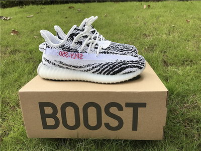 Authentic Adidas Yeezy 350 Boost V2 (kids)-002
